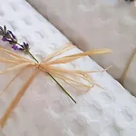 Livia Lejlighed *